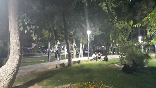 عکس پارک شب