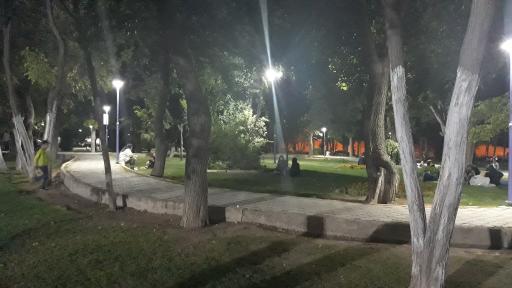 عکس پارک شب