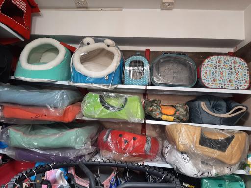 عکس پت شاپ آرتا شعبه ۱