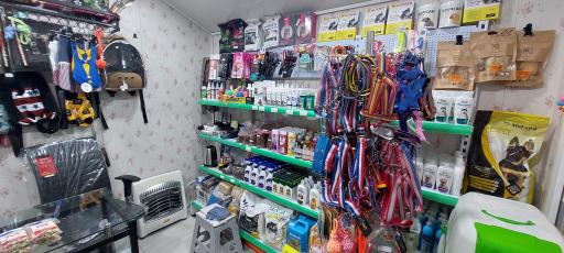 عکس پت شاپ دکتر پی