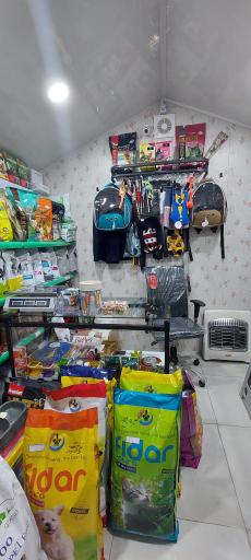 عکس پت شاپ دکتر پی