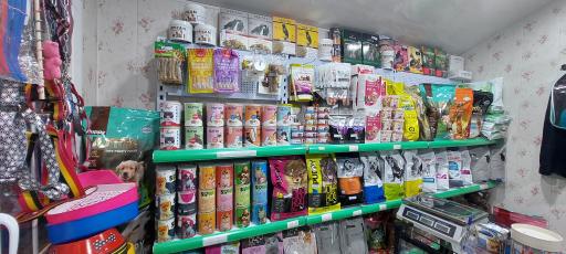 عکس پت شاپ دکتر پی