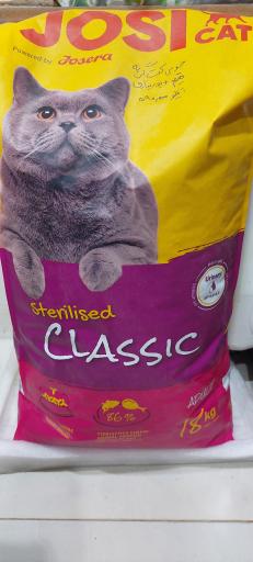 عکس پت شاپ دکتر پی