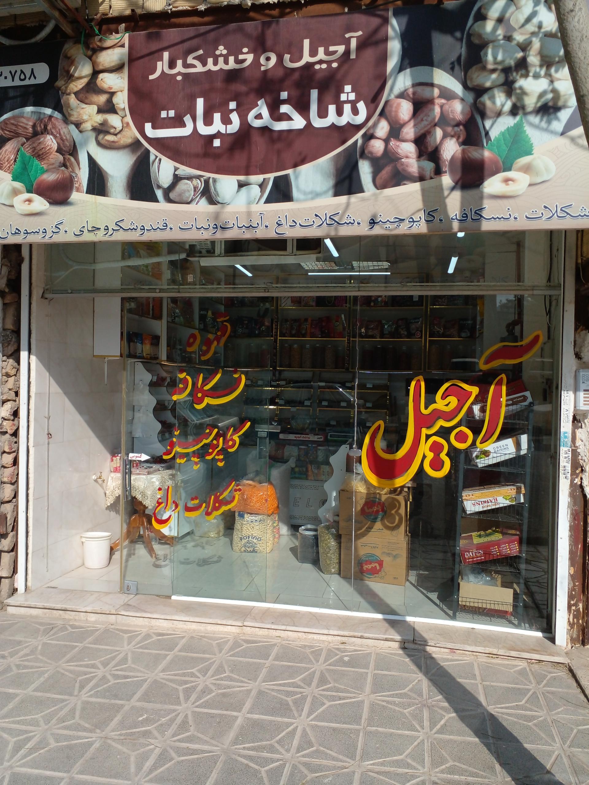 عکس خشکبار شاخه نبات 