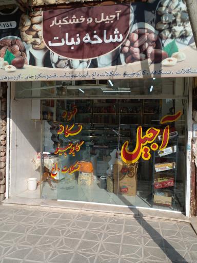 عکس خشکبار شاخه نبات 