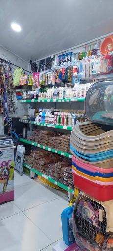 عکس پت شاپ دکتر پی