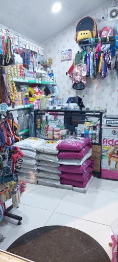 عکس پت شاپ دکتر پی