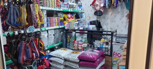 عکس پت شاپ دکتر پی