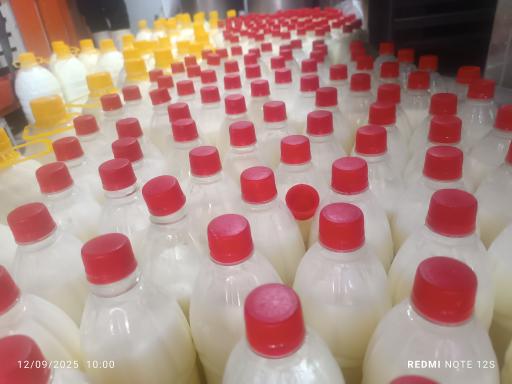 عکس لبنیات بروکام هیراد سابق 