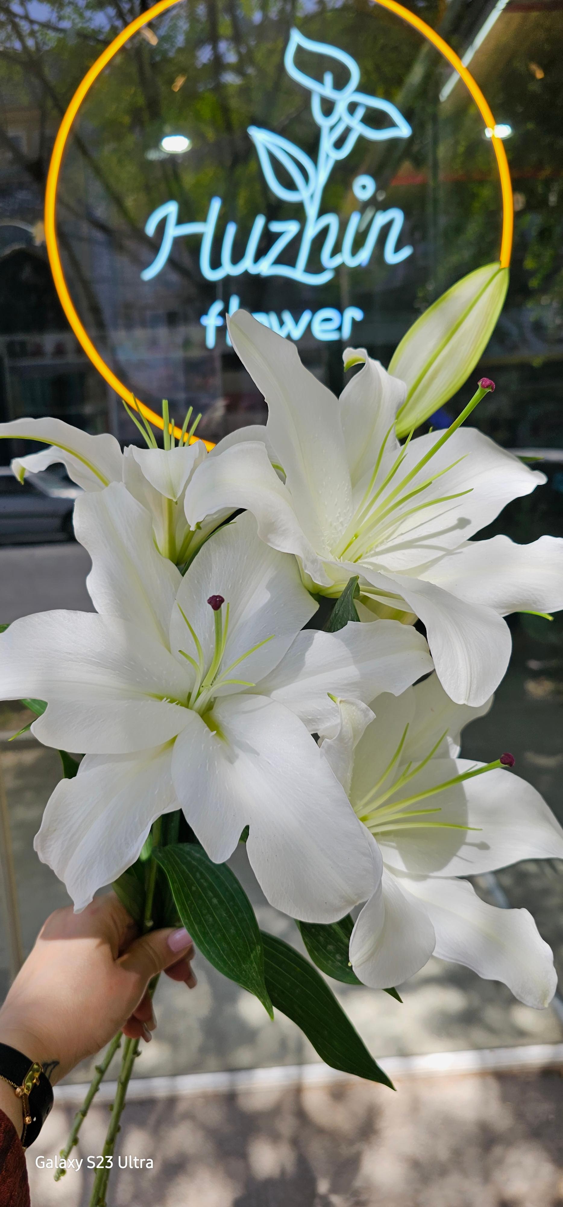 عکس گل فروشی هوژین