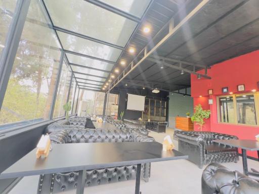 عکس شهربازی رویاتو