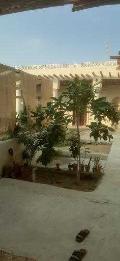عکس اقامتگاه بوم‌گردی مانگرو