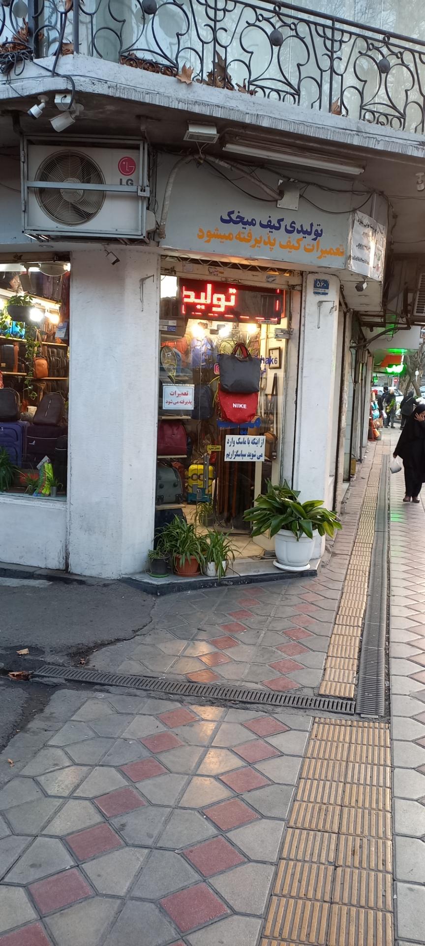 عکس کیف میخک