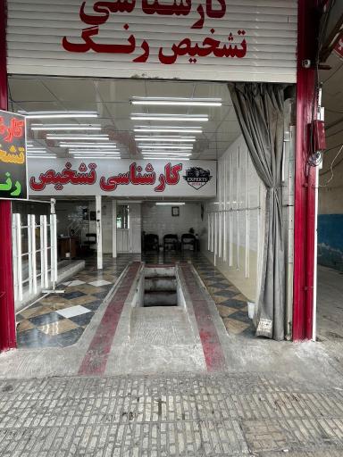 عکس کارشناسی رنگ خودرو رویال 