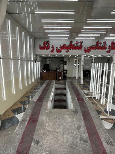 عکس کارشناسی رنگ خودرو رویال 