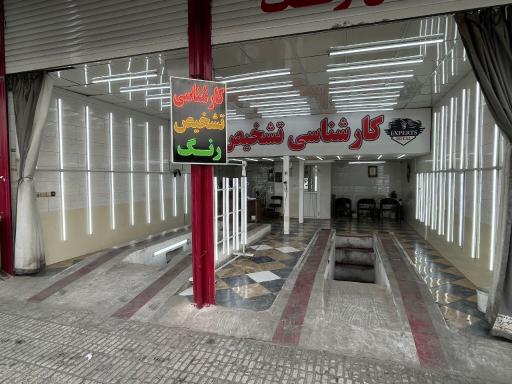 عکس کارشناسی رنگ خودرو رویال 