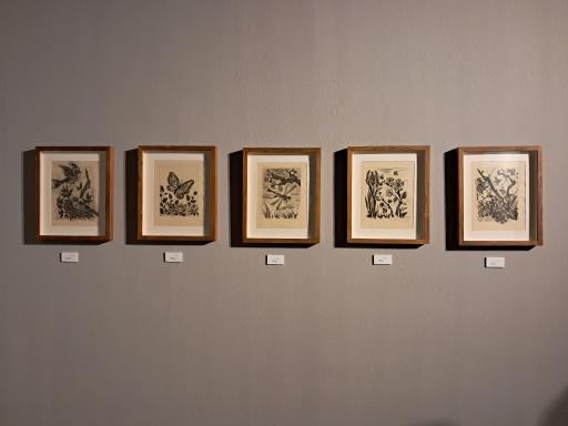 عکس موزه هنرهای معاصر تهران