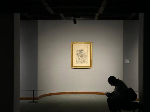 عکس موزه هنرهای معاصر تهران