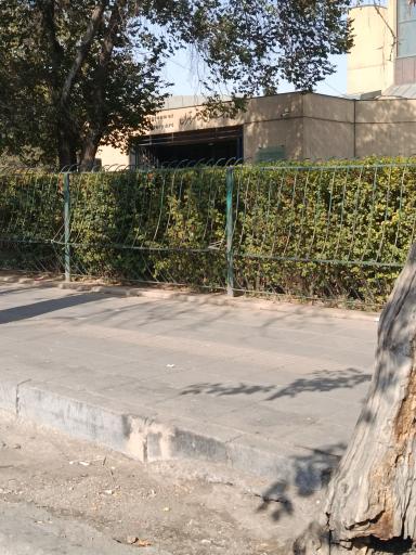 عکس موزه هنرهای معاصر تهران