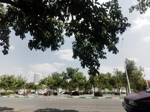 عکس کوه سنگی 