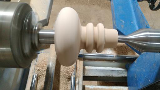 عکس خراطی کاج