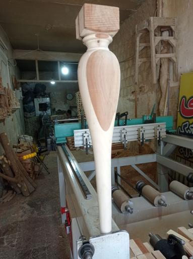 عکس خراطی کاج