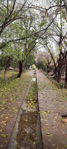 عکس بوستان دانایی