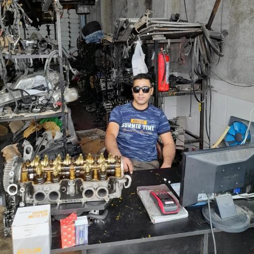 عکس استوک یدک سارانی