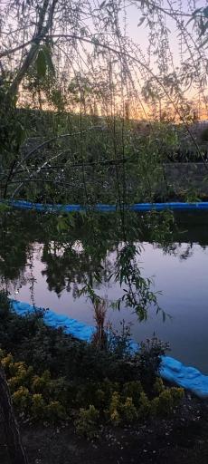 بوستان دانایی
