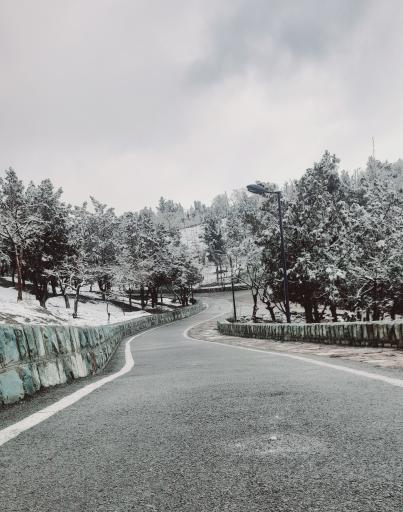 بوستان دانایی