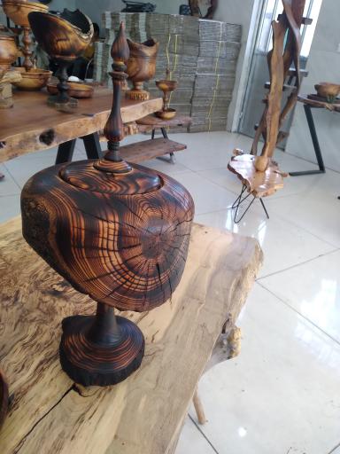 عکس خراطی کاج