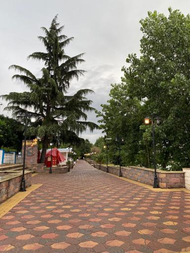 پارک هنرمندان 