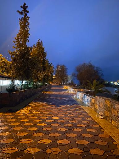 پارک هنرمندان 