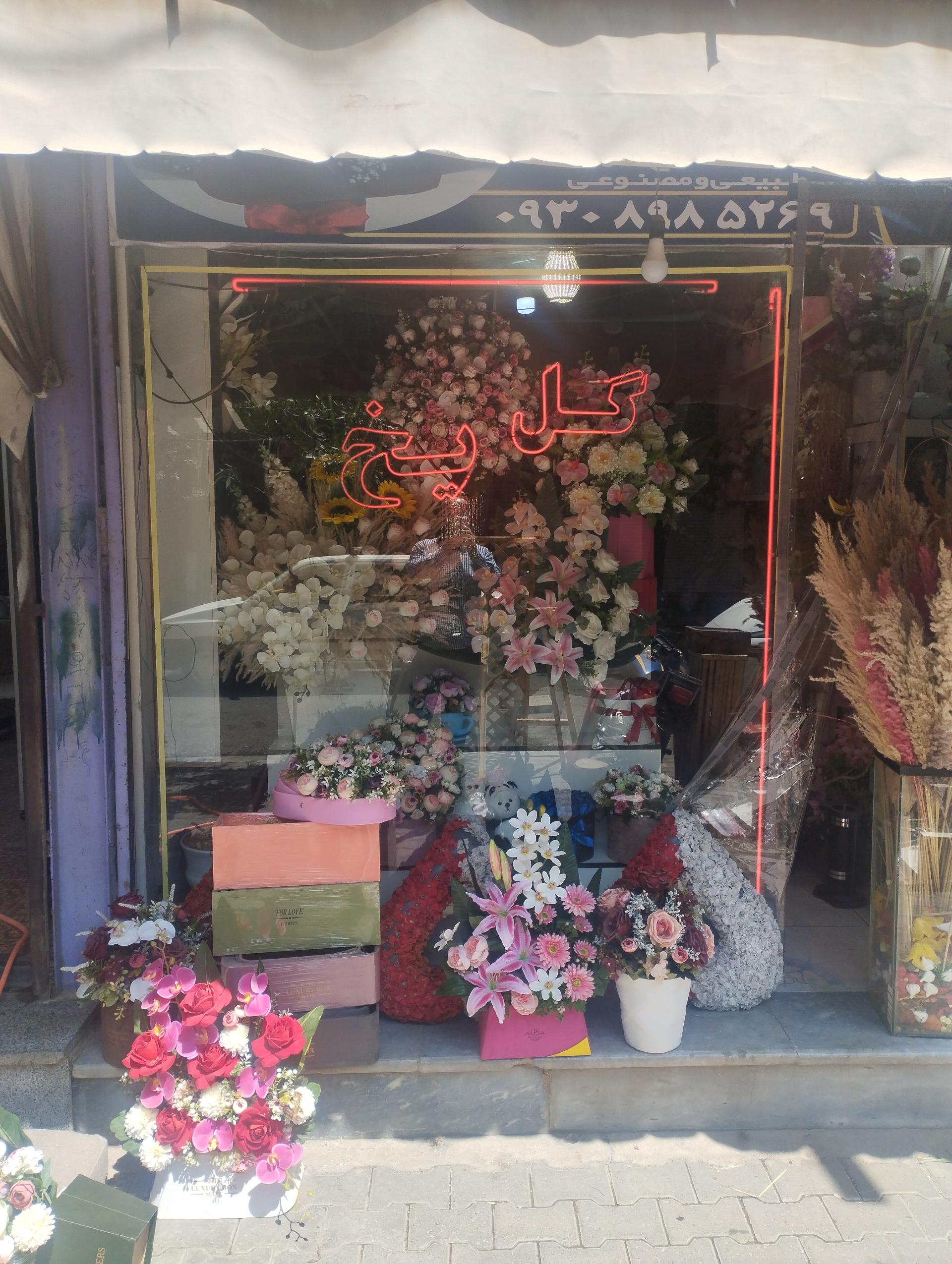 عکس گل فروشی گل یخ