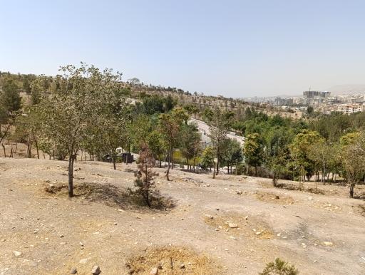 عکس بوستان دانایی