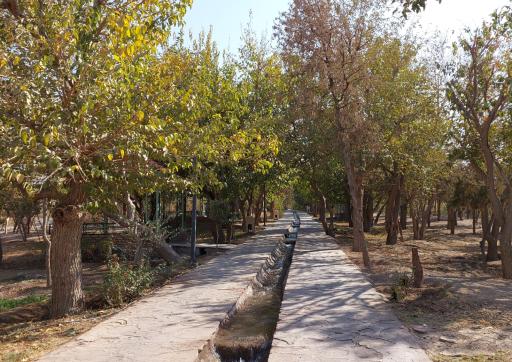 عکس بوستان دانایی