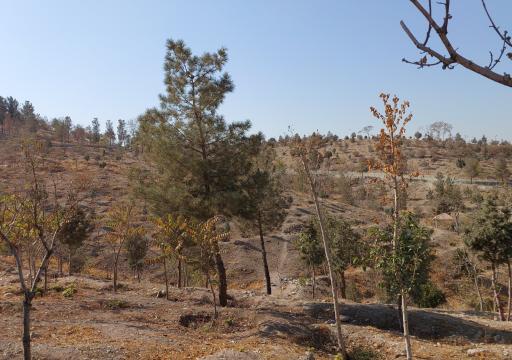 عکس بوستان دانایی