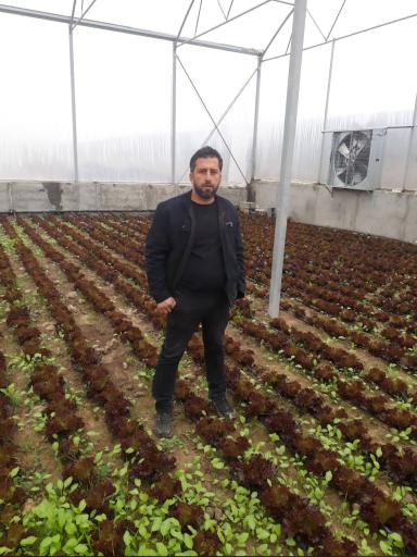 عکس گلخانه علیرضا اسکندری