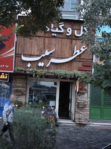 عکس گل و گیاه عطر سیب