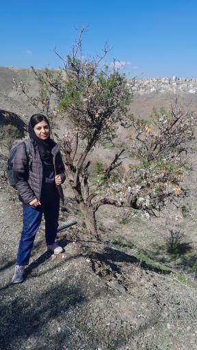 عکس ابرده