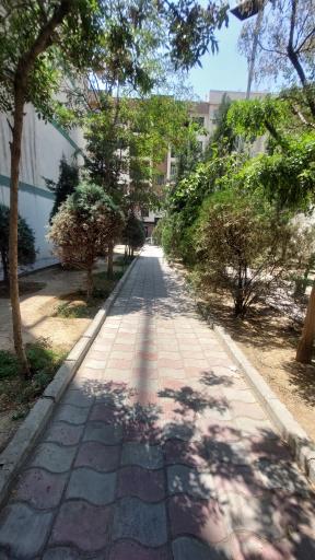 عکس بوستان مهسان
