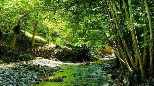 عکس ابرده