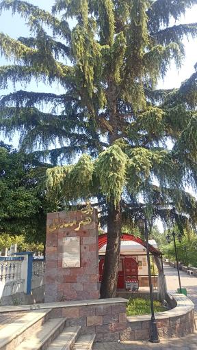 عکس پارک هنرمندان 
