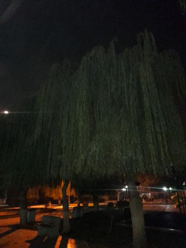 عکس بوستان خانواده