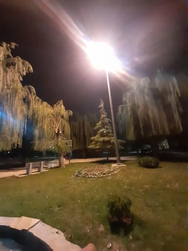 عکس بوستان خانواده