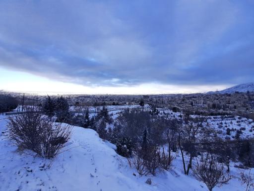 بوستان دانایی