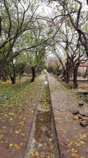 بوستان دانایی