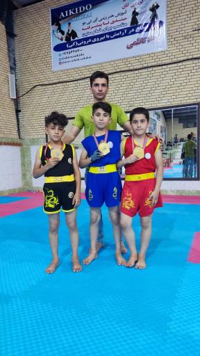 باشگاه ووشو یاس