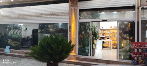 عکس نان فانتزی کارن
