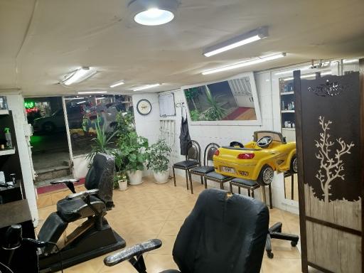عکس پیرایش پارسا 